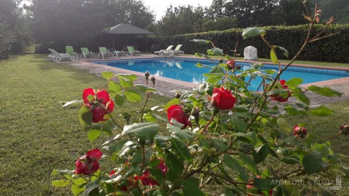 Image No.8-11 Bed Apartment for sale