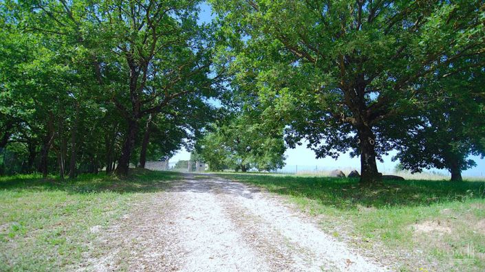 Image No.29-4 Bed Country House for sale