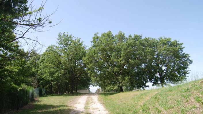 Image No.30-4 Bed Country House for sale