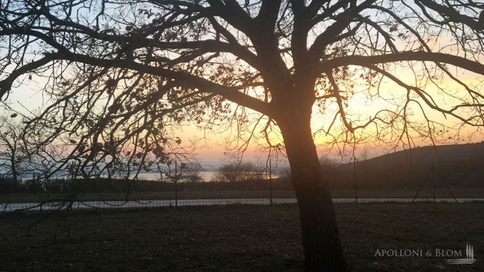 Image No.8-4 Bed Country House for sale