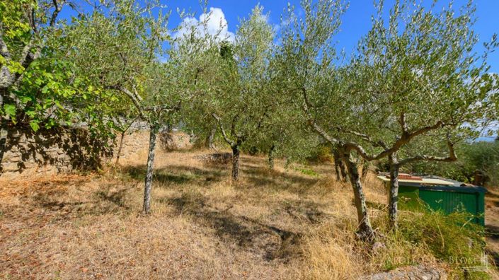 Image No.22-5 Bed Country House for sale