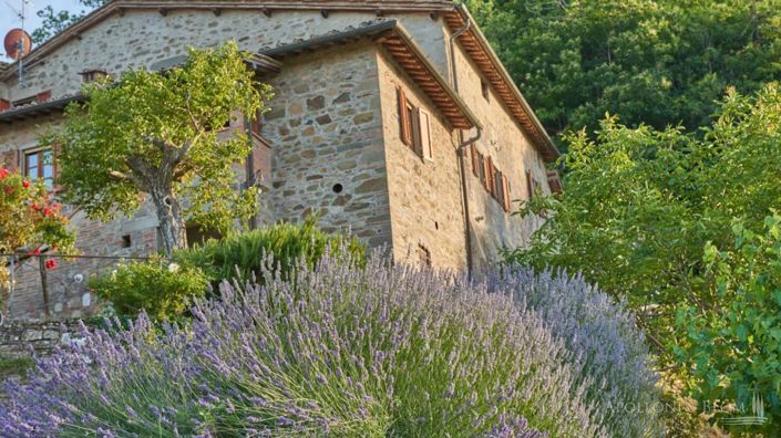 Image No.29-12 Bed Apartment for sale