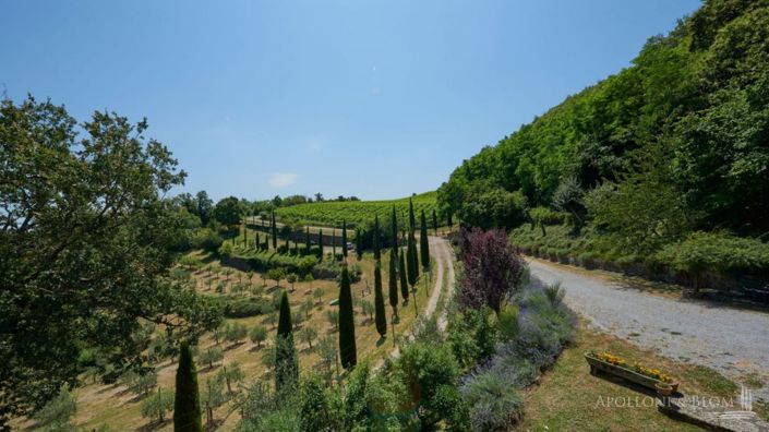 Image No.3-12 Bed Apartment for sale