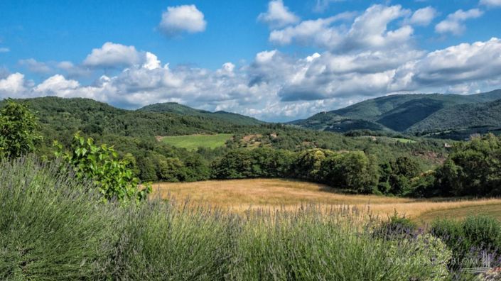 Image No.4-12 Bed Apartment for sale