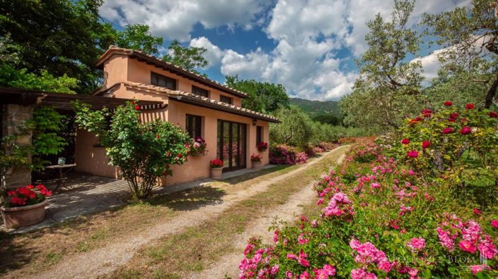 Image No.25-7 Bed Apartment for sale