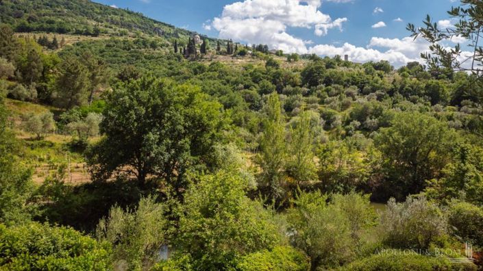 Image No.29-7 Bed Apartment for sale