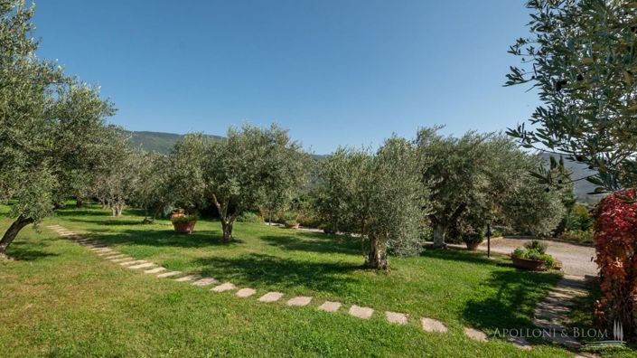 Image No.24-5 Bed Apartment for sale