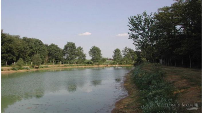 Image No.7-Vignoble de 8 chambres à vendre à Castiglione del Lago