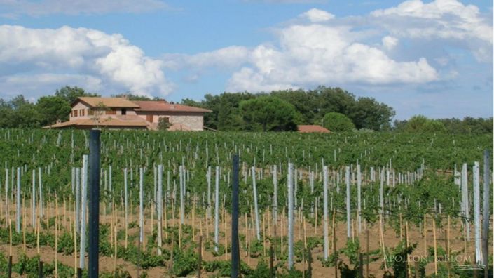 Image No.8-Vignoble de 8 chambres à vendre à Castiglione del Lago