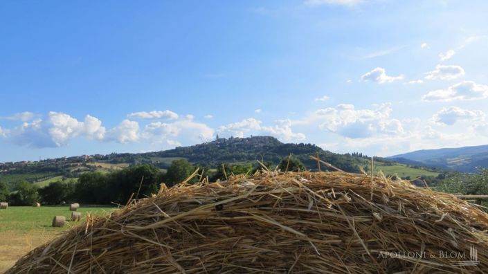 Image No.13-13 Bed Apartment for sale