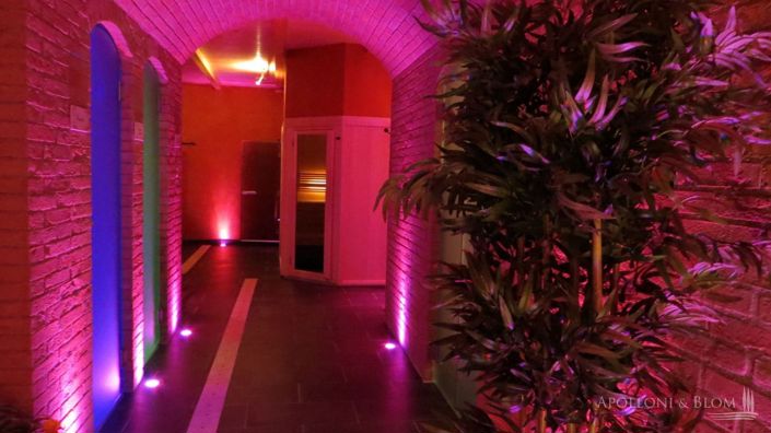 Image No.16-13 Bed Apartment for sale