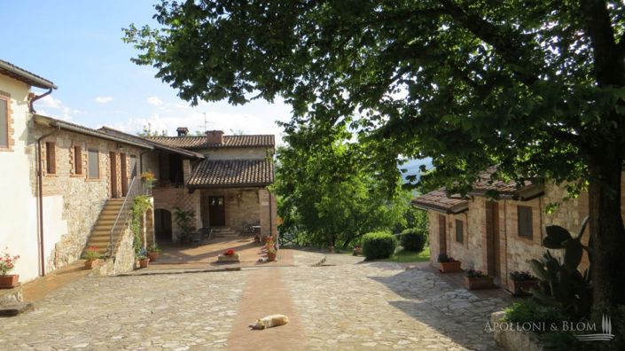 Image No.6-13 Bed Apartment for sale