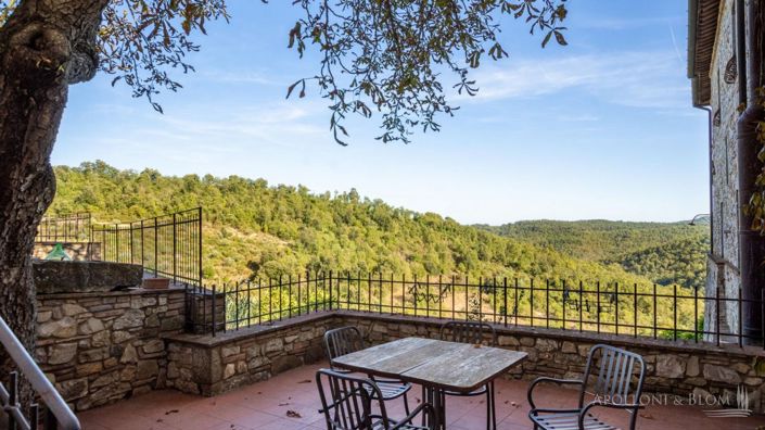 Image No.12-Appartement de 21 chambres à vendre à Castellina in Chianti