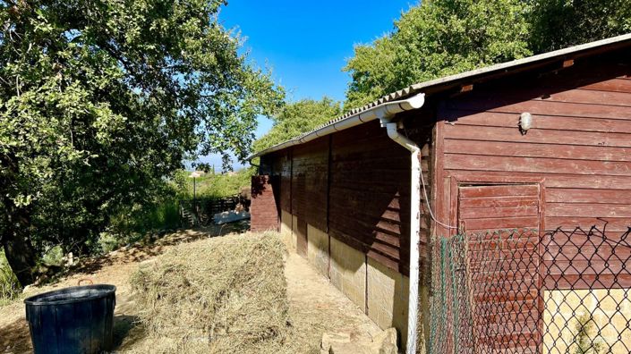 Image No.21-5 Bed Vineyard for sale