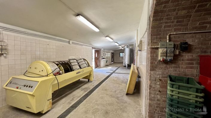 Image No.24-5 Bed Vineyard for sale