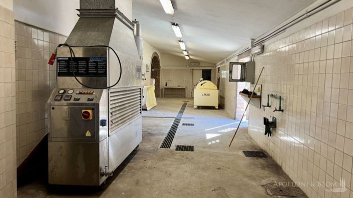 Image No.25-5 Bed Vineyard for sale