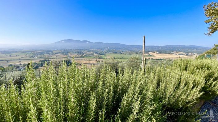Image No.30-5 Bed Vineyard for sale