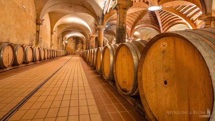 Image No.11-11 Bed Vineyard for sale