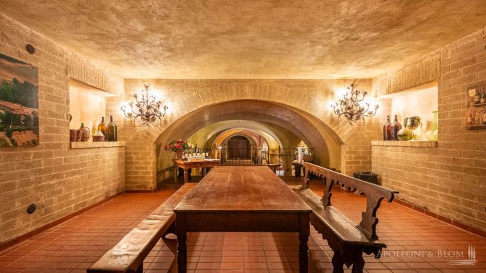 Image No.12-Vignoble de 11 chambres à vendre à Castellina in Chianti