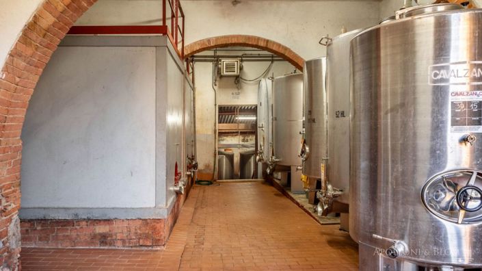 Image No.14-Vignoble de 11 chambres à vendre à Castellina in Chianti