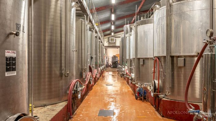 Image No.15-Vignoble de 11 chambres à vendre à Castellina in Chianti