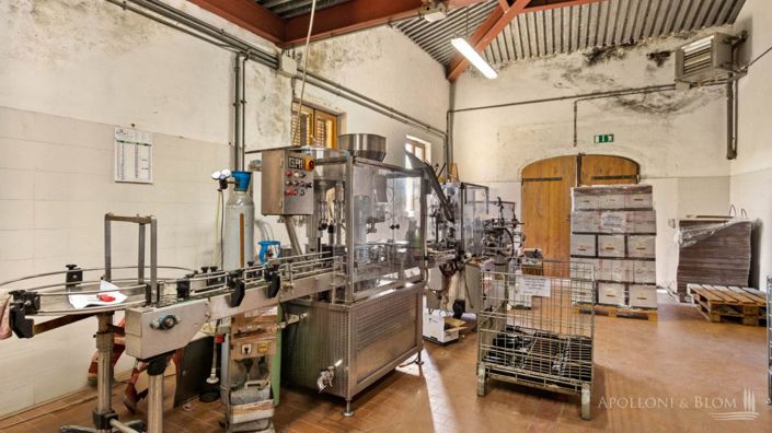 Image No.17-11 Bed Vineyard for sale