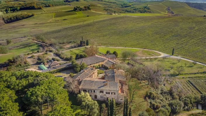Image No.8-Vignoble de 11 chambres à vendre à Castellina in Chianti