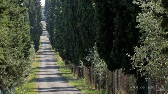 Image No.7-11 Bed Vineyard for sale