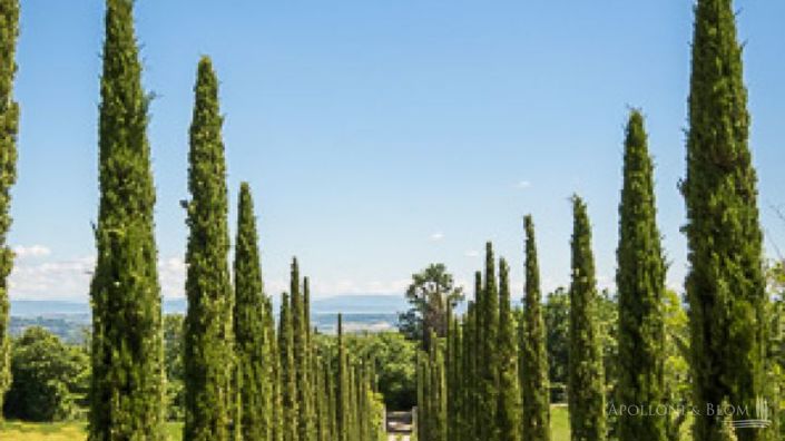 Image No.5-6 Bed Apartment for sale