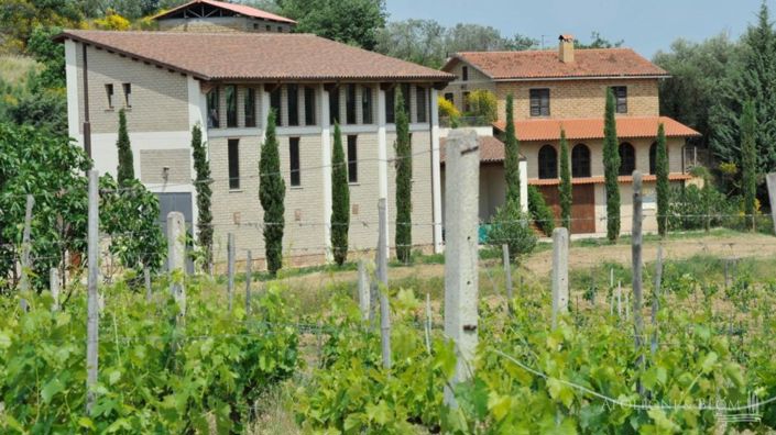 Image No.1-Vignoble de 2 chambres à vendre à Montepulciano