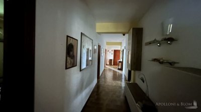 g202403051737097856