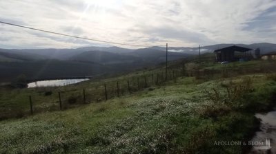 g202311281433006820