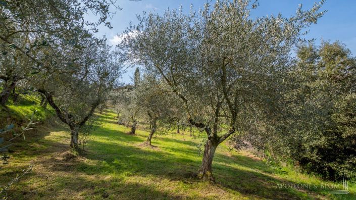 Image No.30-Appartement de 7 chambres à vendre à Montepulciano