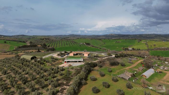 Image No.10-3 Bed Vineyard for sale