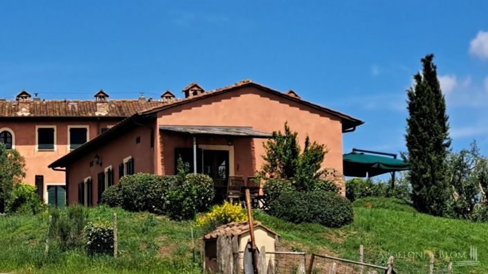 Image No.1-Maison de campagne de 2 chambres à vendre à Palaia