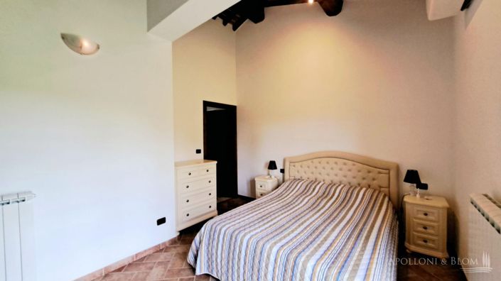 Image No.17-Maison de campagne de 2 chambres à vendre à Palaia