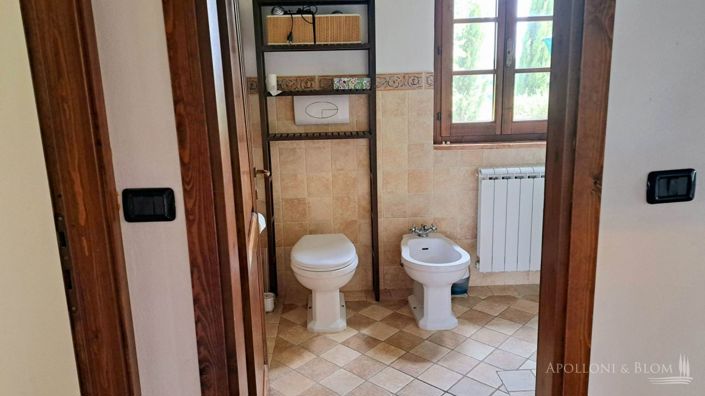 Image No.21-Maison de campagne de 2 chambres à vendre à Palaia