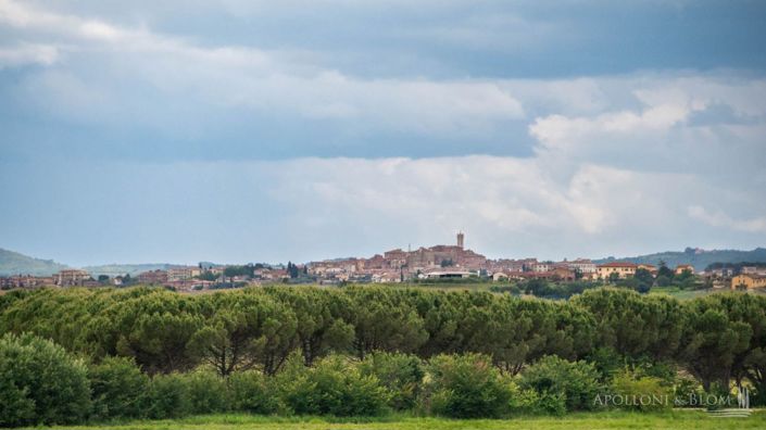 Image No.28-Appartement de 4 chambres à vendre à Cortona