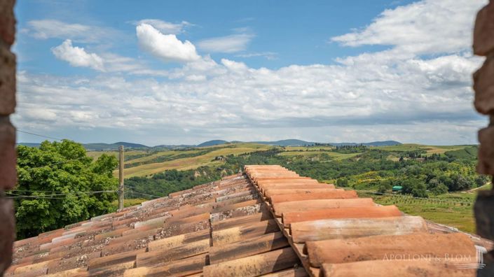 Image No.19-11 Bed Vineyard for sale