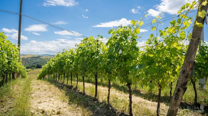 Image No.27-11 Bed Vineyard for sale