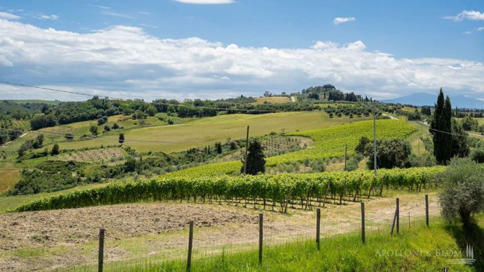 Image No.28-11 Bed Vineyard for sale