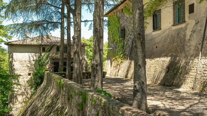 Image No.11-14 Bed Vineyard for sale