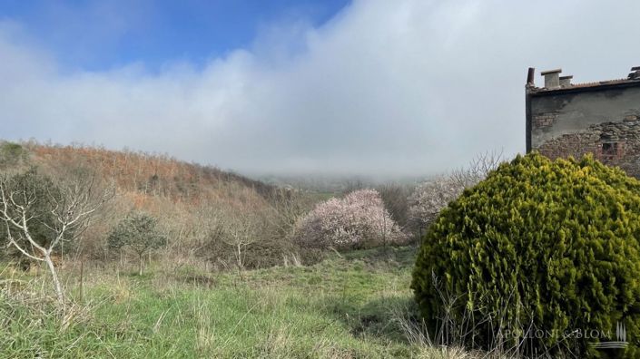 Image No.13-Plot for sale