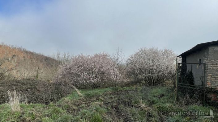 Image No.15-Plot for sale