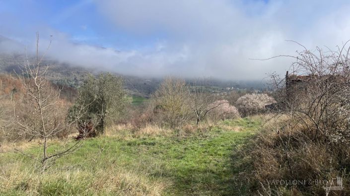 Image No.2-Plot for sale