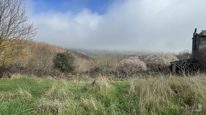 Image No.8-Plot for sale