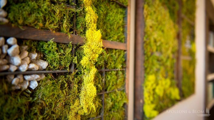 Image No.24-3 Bed Apartment for sale