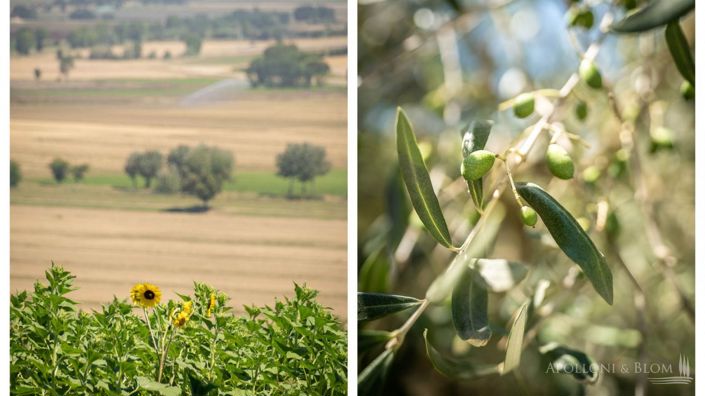 Image No.15-4 Bed Apartment for sale