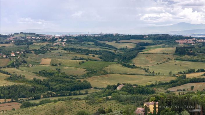 Image No.10-4 Bed Vineyard for sale