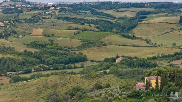 Image No.2-4 Bed Vineyard for sale